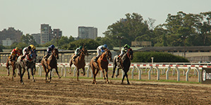 競馬レース